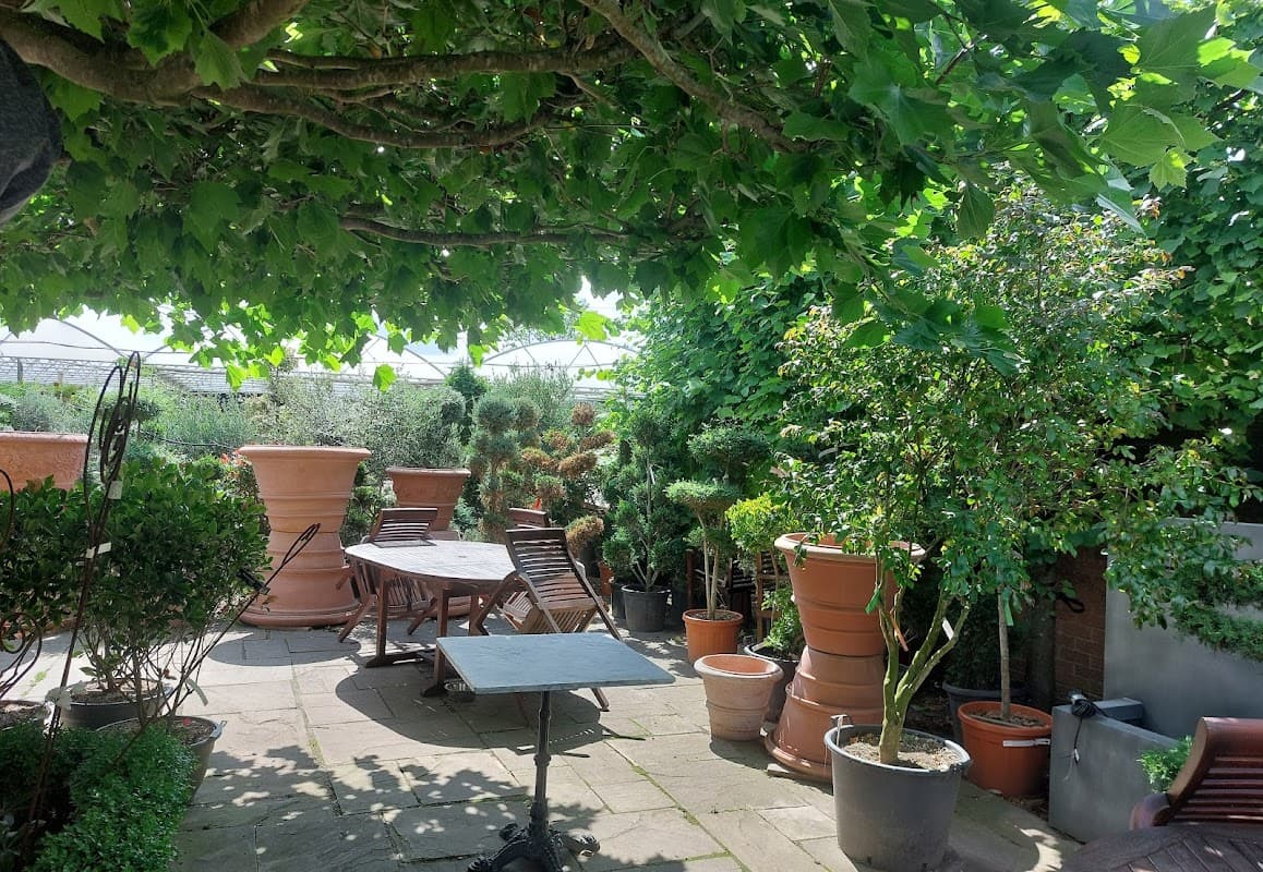 The Greenhouse Tearoom - Tea Rooms in stockton on the forest