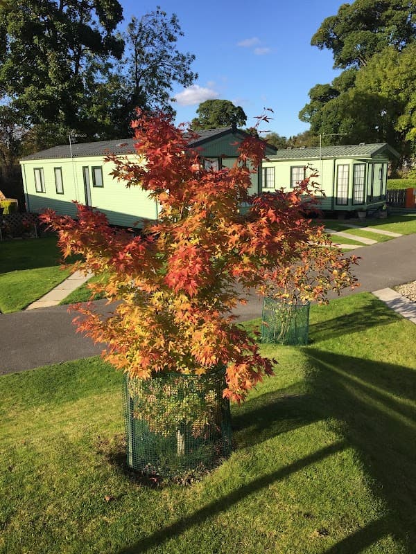 Accommodation at River Laver Holiday Park in studley roger