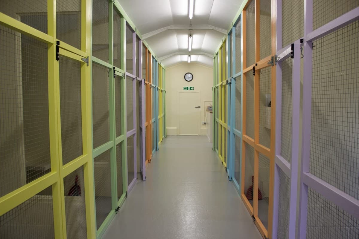 Howgrave Lodge Cattery - Vets in sutton howgrave