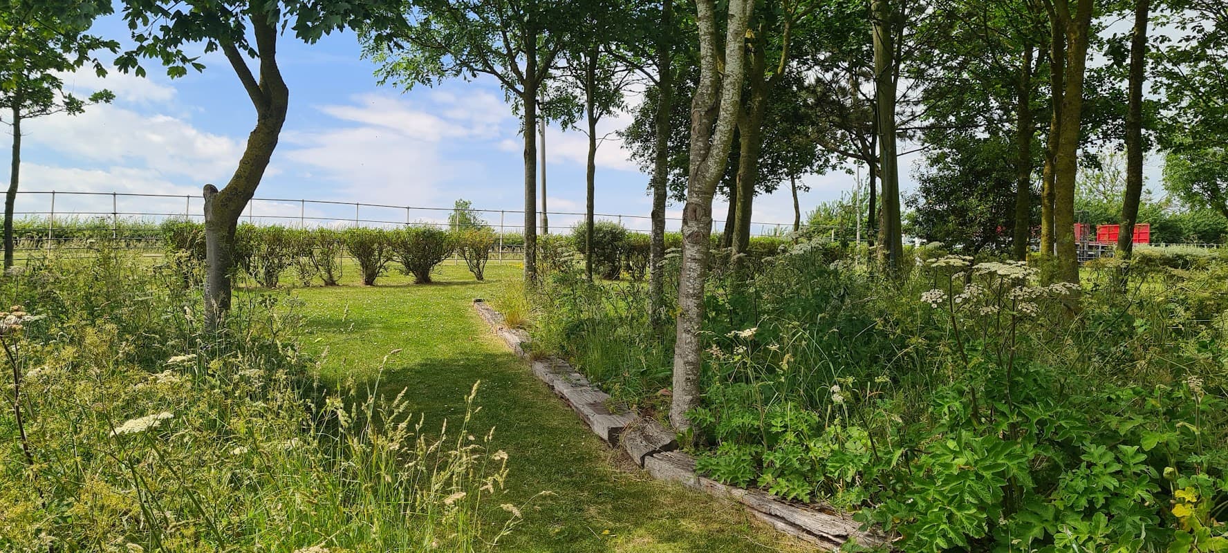 Lush greenery with trees and wildflowers, leading to a fenced area, under a bright blue sky in Filey, Yorkshire.