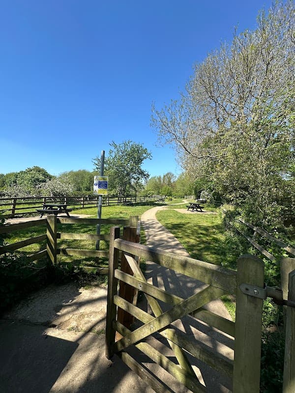 A sunny picnic area with wooden benches, a winding path, and lush greenery, surrounded by trees and a blue sky.