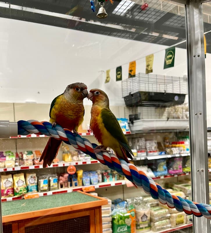Yorkshire Feed & Country Store - Pet Shops in thirsk