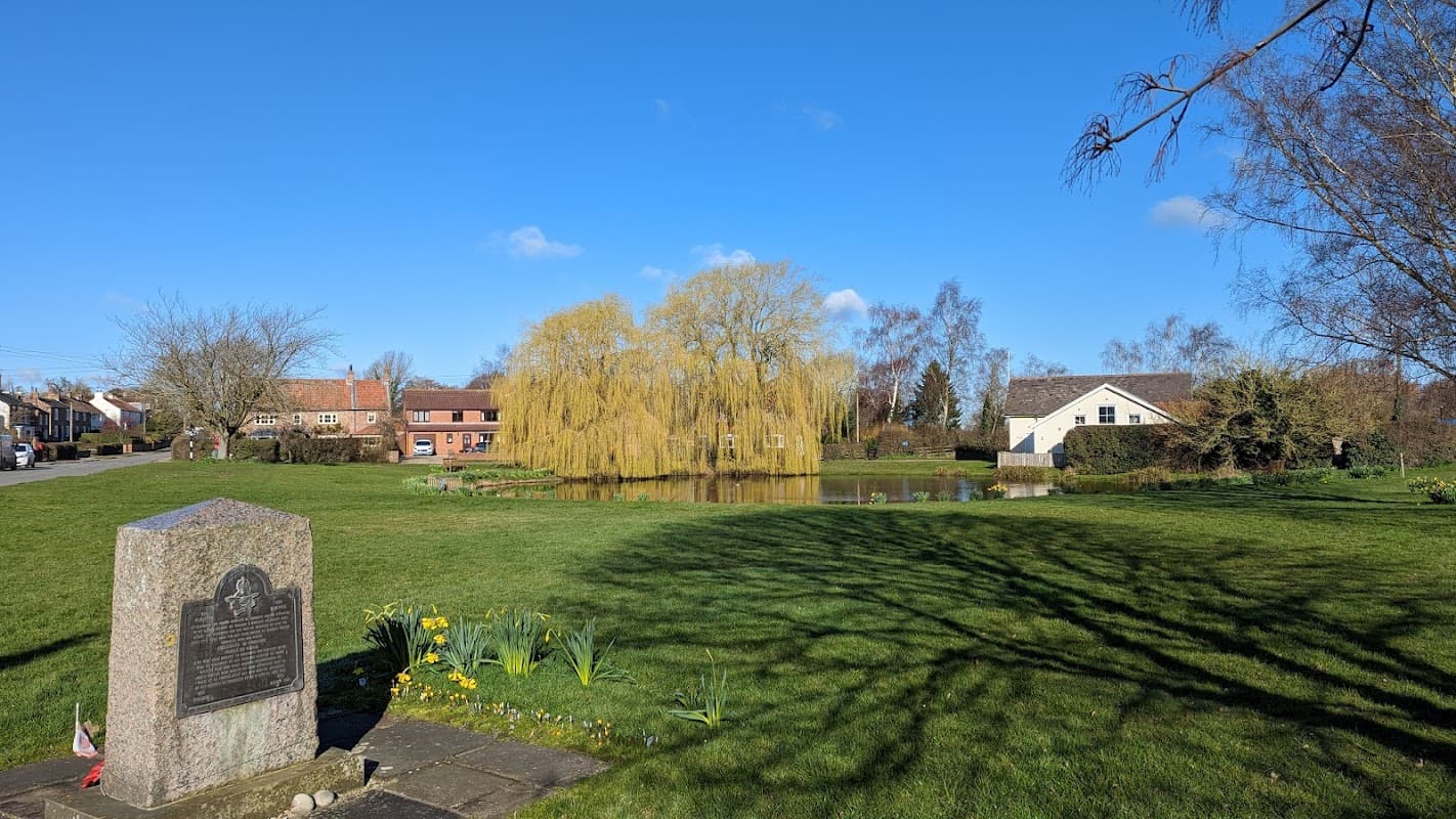 A tranquil pond surrounded by greenery, willows, and quaint buildings under a clear blue sky in Tholthorpe, Yorkshire.
