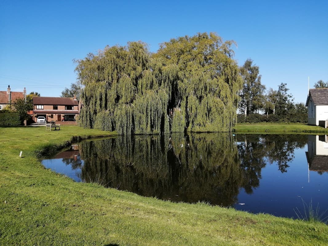 Willow trees reflect in a calm pond, surrounded by green grass and a clear blue sky in Tholthorpe Village Hall.