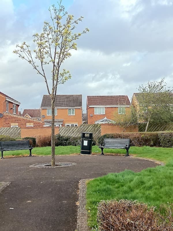 Bowood Park - Park in thornaby