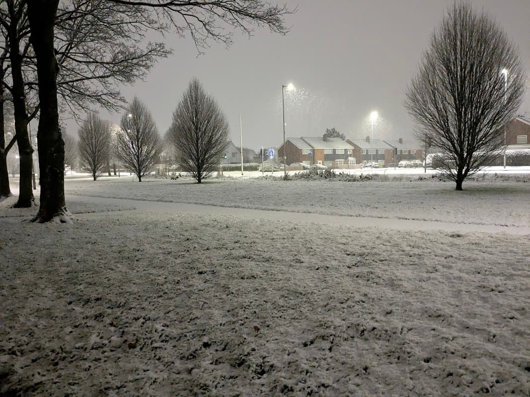 Bus Stop at Blackbush Walk - Bus Stops in thornaby