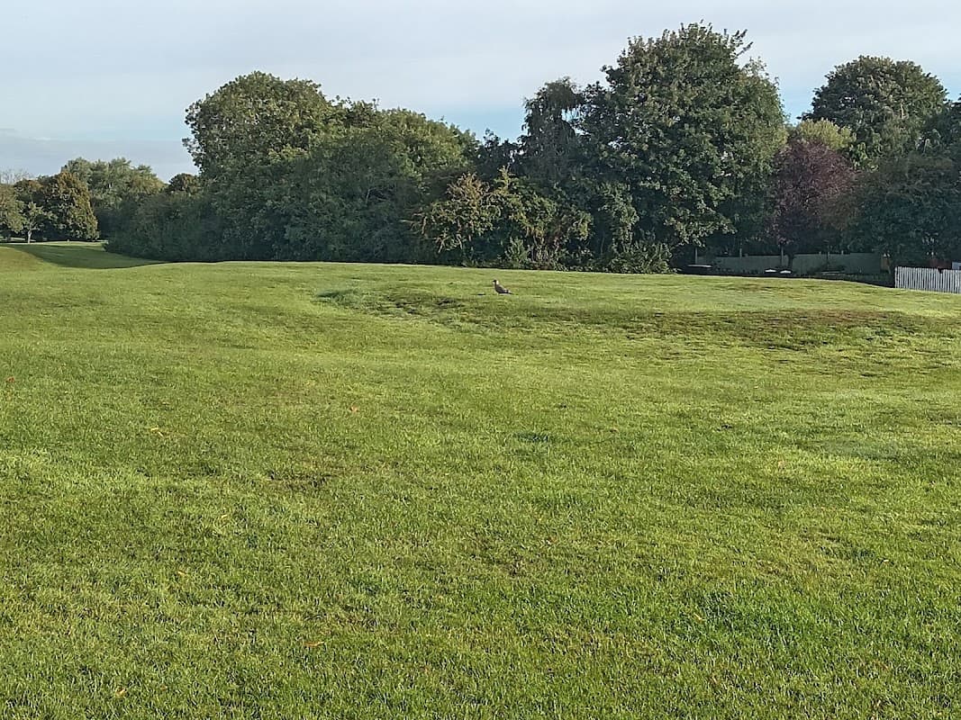 Site of a Medieval Windmill - Historic Site in thornaby