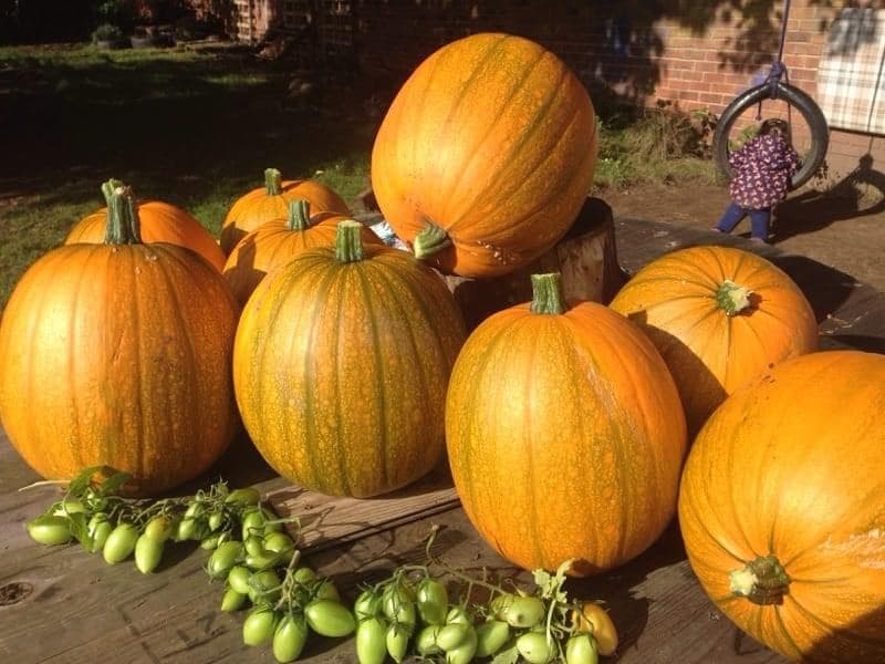 Thornaby Library Within Riverbank Children's Centre