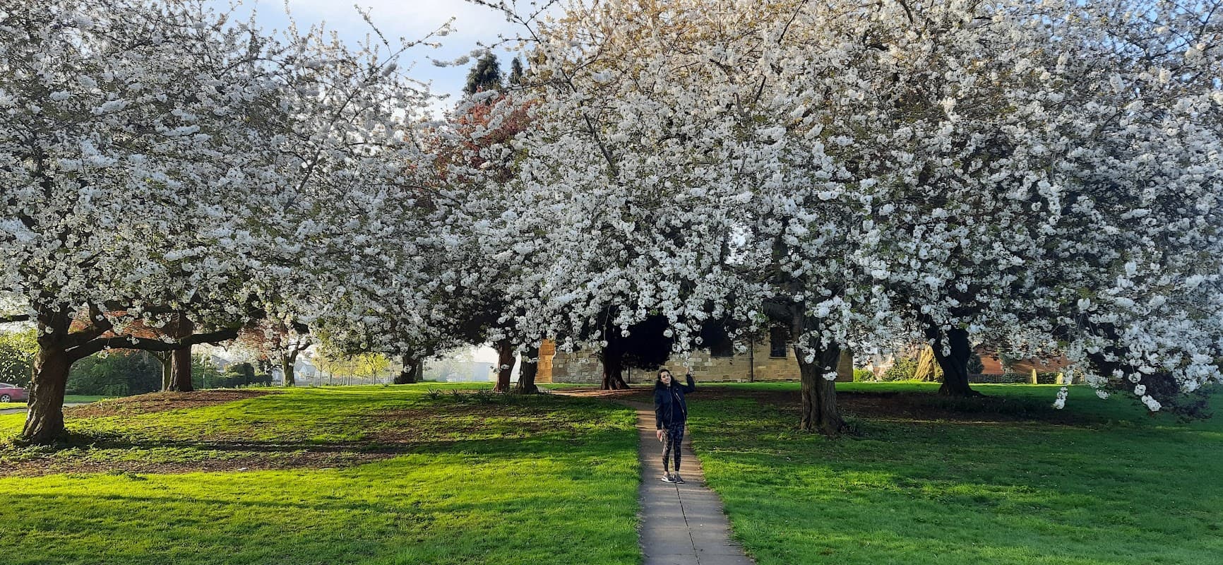 Thornaby Village Green - Park in thornaby
