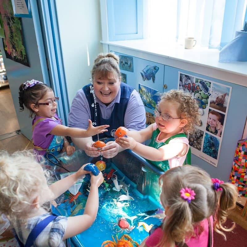 TreeTops Nursery - Nurseries in thornaby