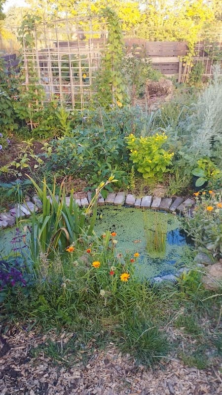 Thorngumbald Parish Allotments - Garden in thorngumbald
