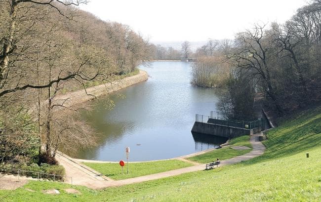 A serene lake surrounded by trees, with a path leading to a viewing area and a bench by the water's edge.