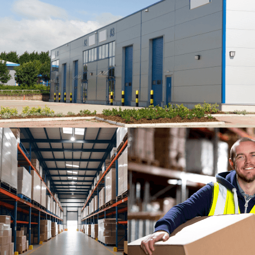 Department store exterior with modern design, surrounded by greenery, and an indoor warehouse filled with shelves and products.