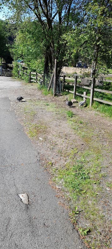 Copras Speciality Ltd - Removal Companies in todmorden