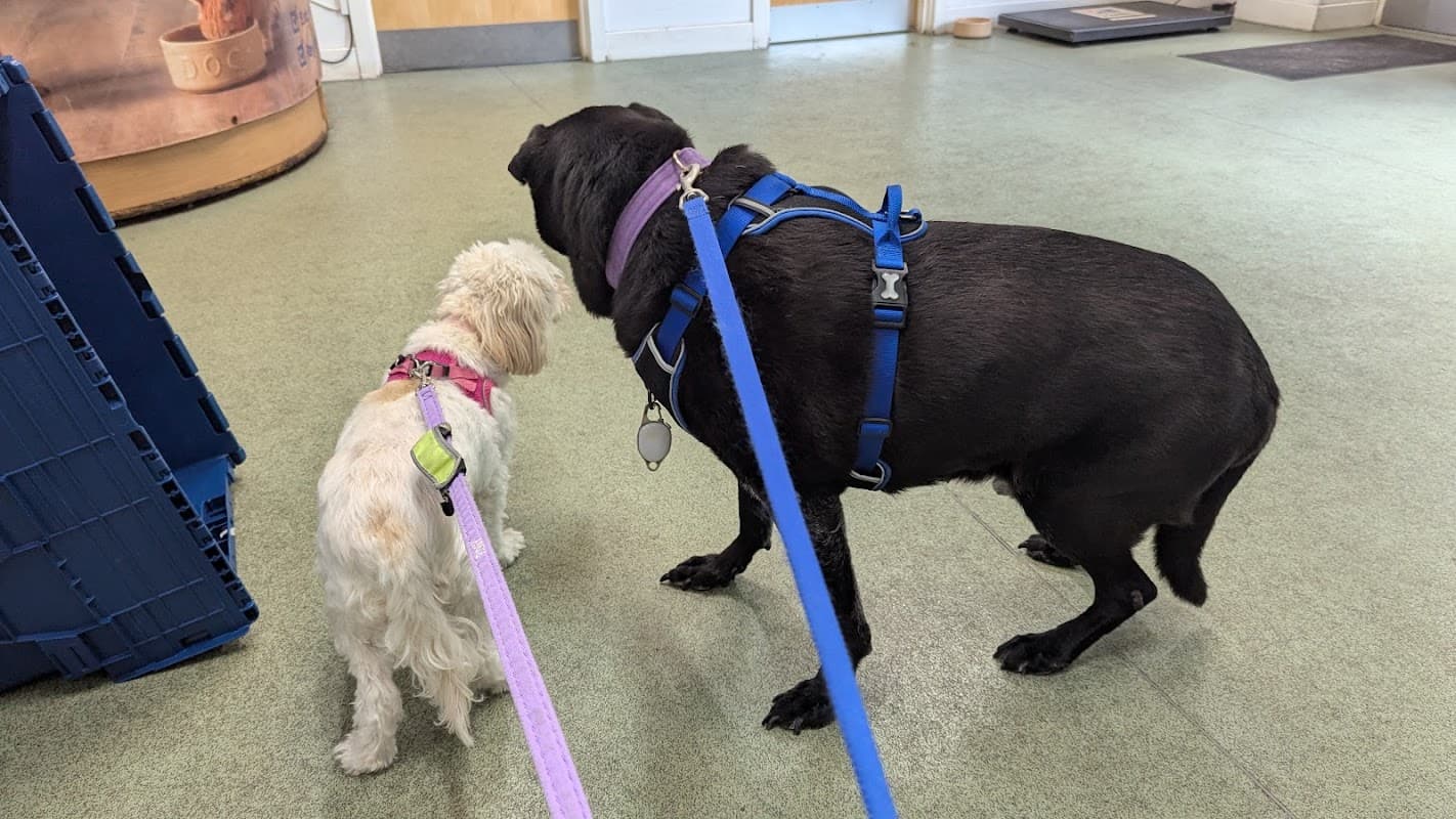 Hird and Partners - Walsden - Vets in todmorden