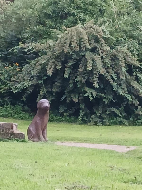 The Lucky Dog - Historic Site in todmorden