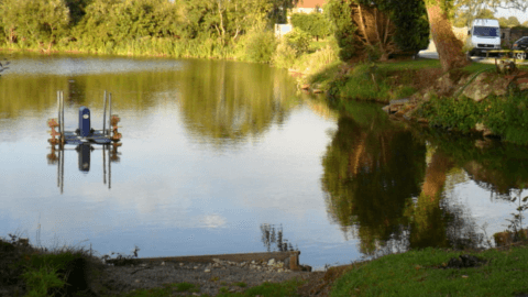 Tollerton Pond - Fishing in tollerton north yorkshire