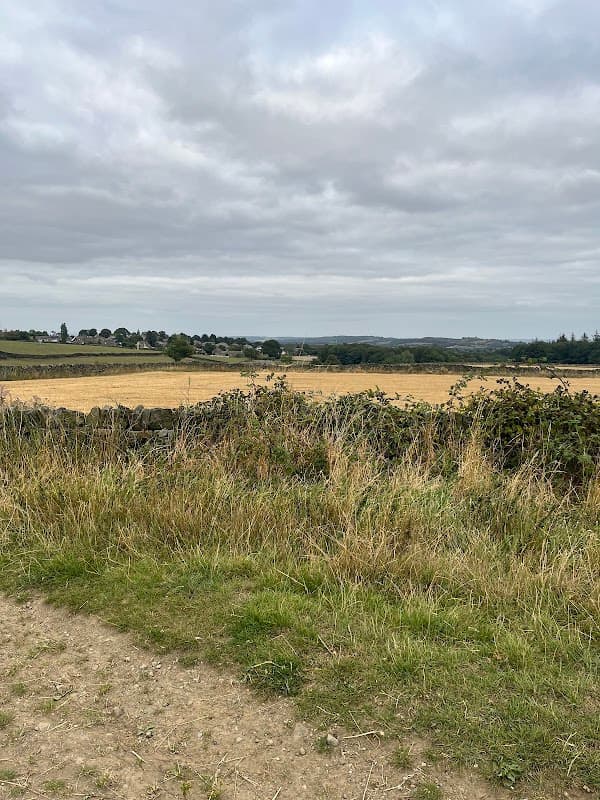 Rolling fields with golden crops, stone walls, and overcast skies in Upper Cumberworth, Yorkshire.