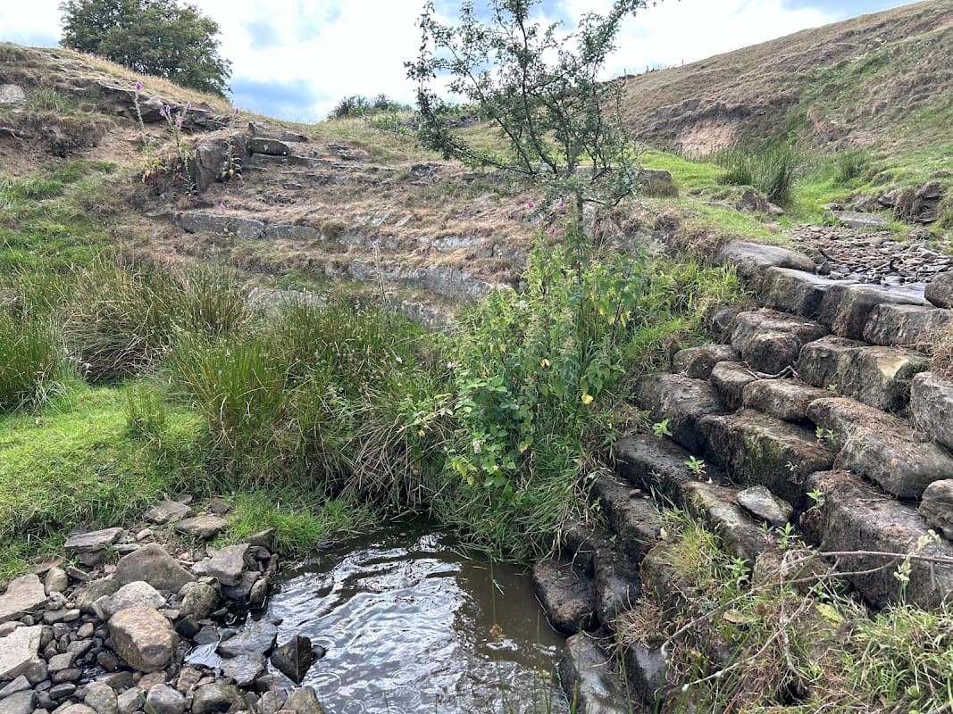 A grassy area with a small stream, stone steps, and a tree near the Park Dike Weir in Upper Cumberworth, Yorkshire.