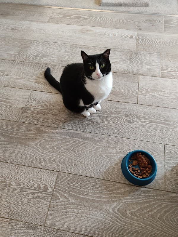 Calder Vets in Sandal - Vets in wakefield