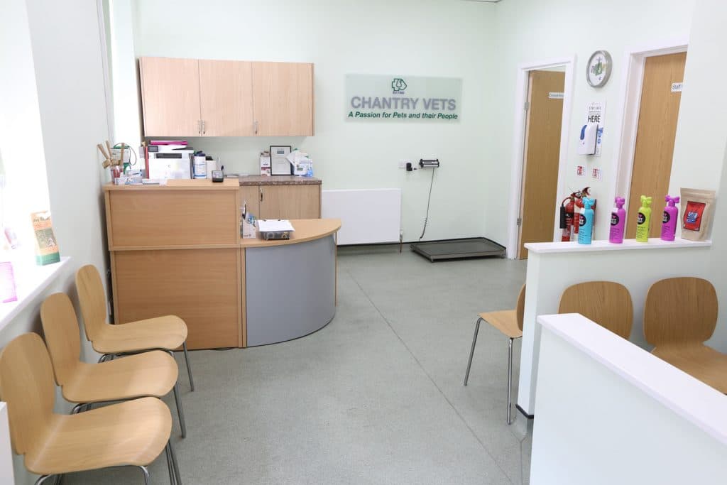 Chantry Vets Surgery, Wakefield - Vets in wakefield