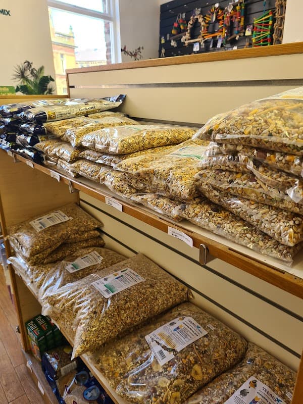 Feathers & Tails - Pet Shop and Parrot & Reptile Rescue - Pet Shops in wakefield