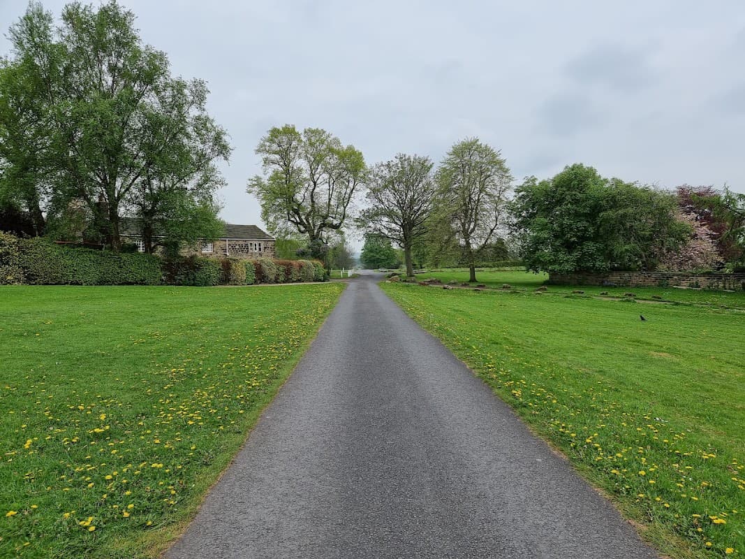 Grassy path lined with trees and dandelions, leading to a car park in a serene park setting.
