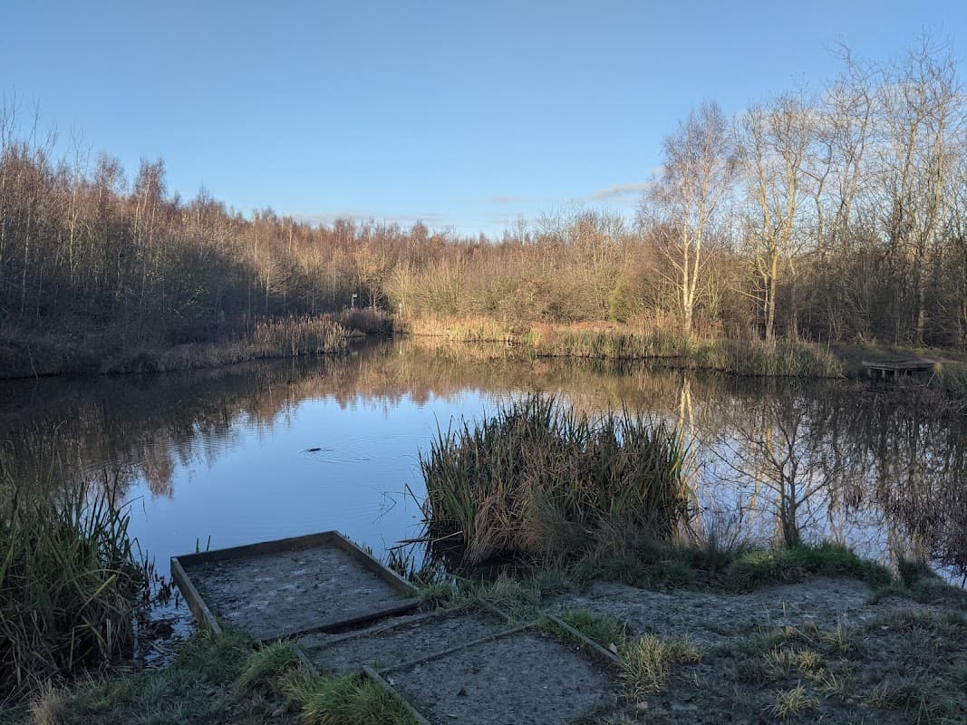Lofthouse Colliery Nature Park - Park in wakefield