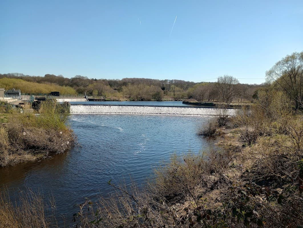 Southern Washlands - Nature Reserves in wakefield