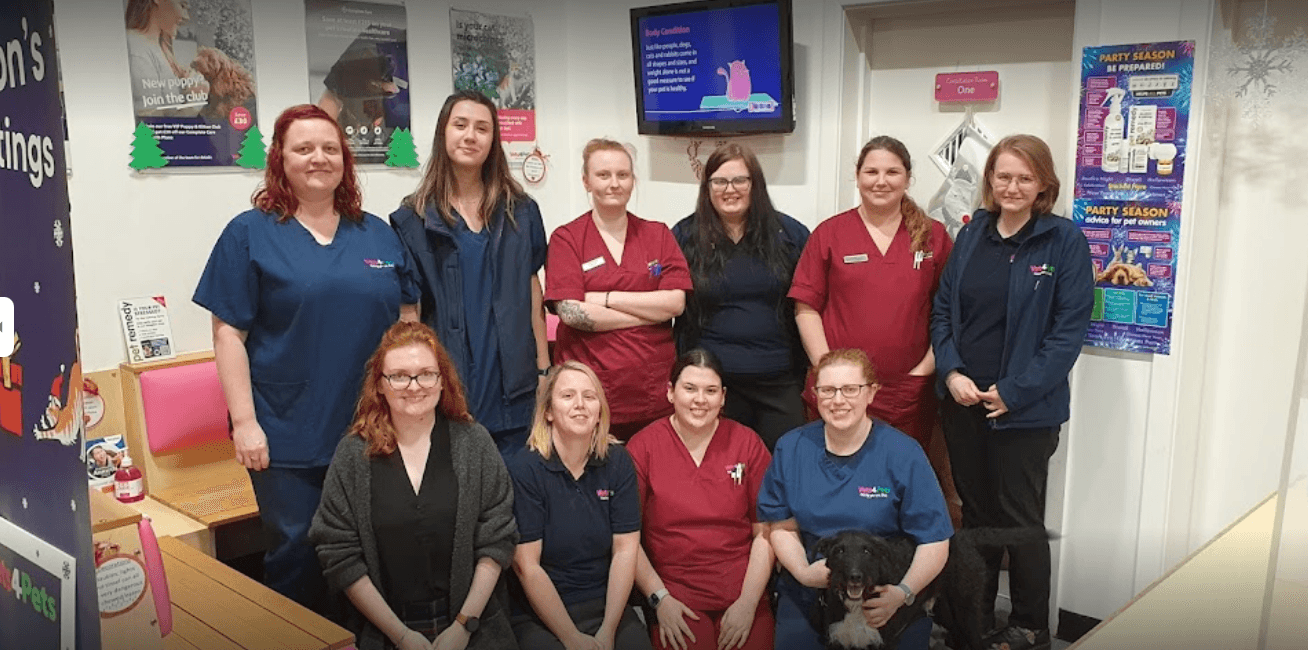 Vets4Pets - Wakefield Westgate - Vets in wakefield