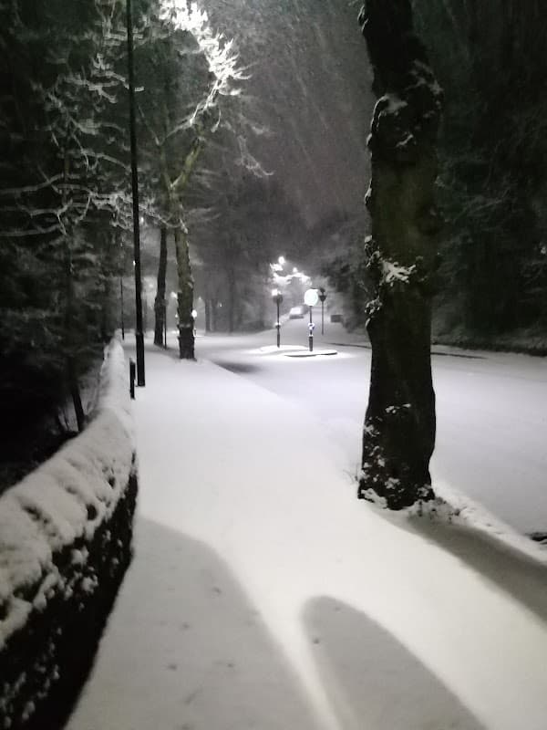 Snow-covered road with streetlights, surrounded by trees, creating a serene winter scene in Walkley, Yorkshire.