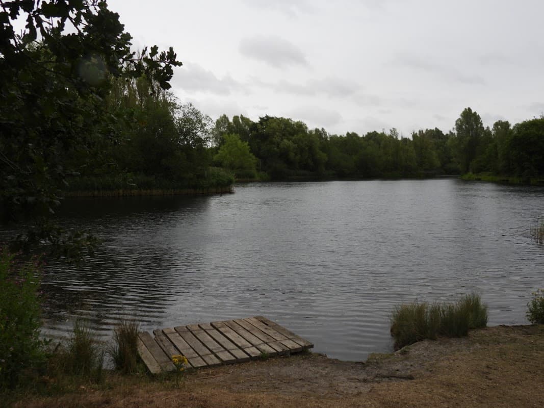Serene lake surrounded by greenery, with a wooden platform extending into the water at Walton Colliery Nature Reserve.