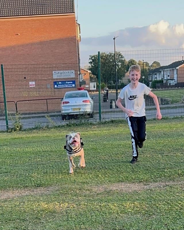 Wildflower Meadow - Park in warlaby