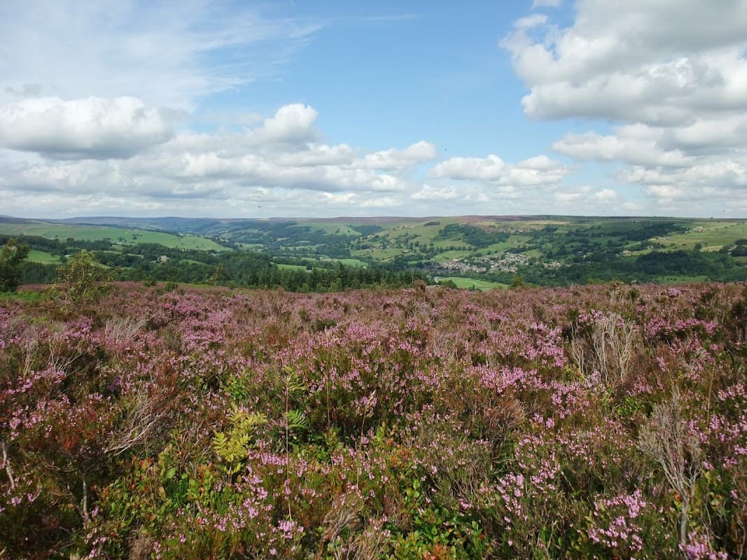 Nidderdale National Landscape - Park in wath in nidderdale
