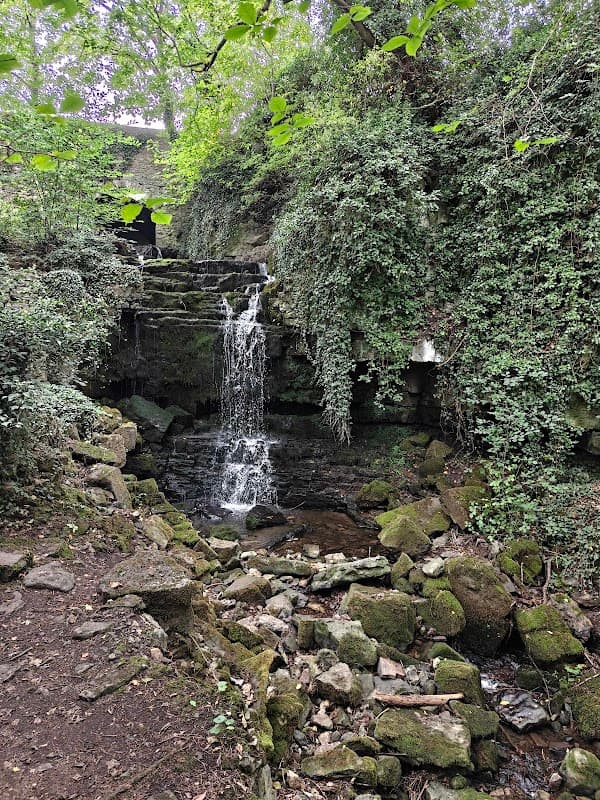 A serene waterfall cascading over moss-covered rocks, surrounded by lush greenery and trees in Wensley, Yorkshire.