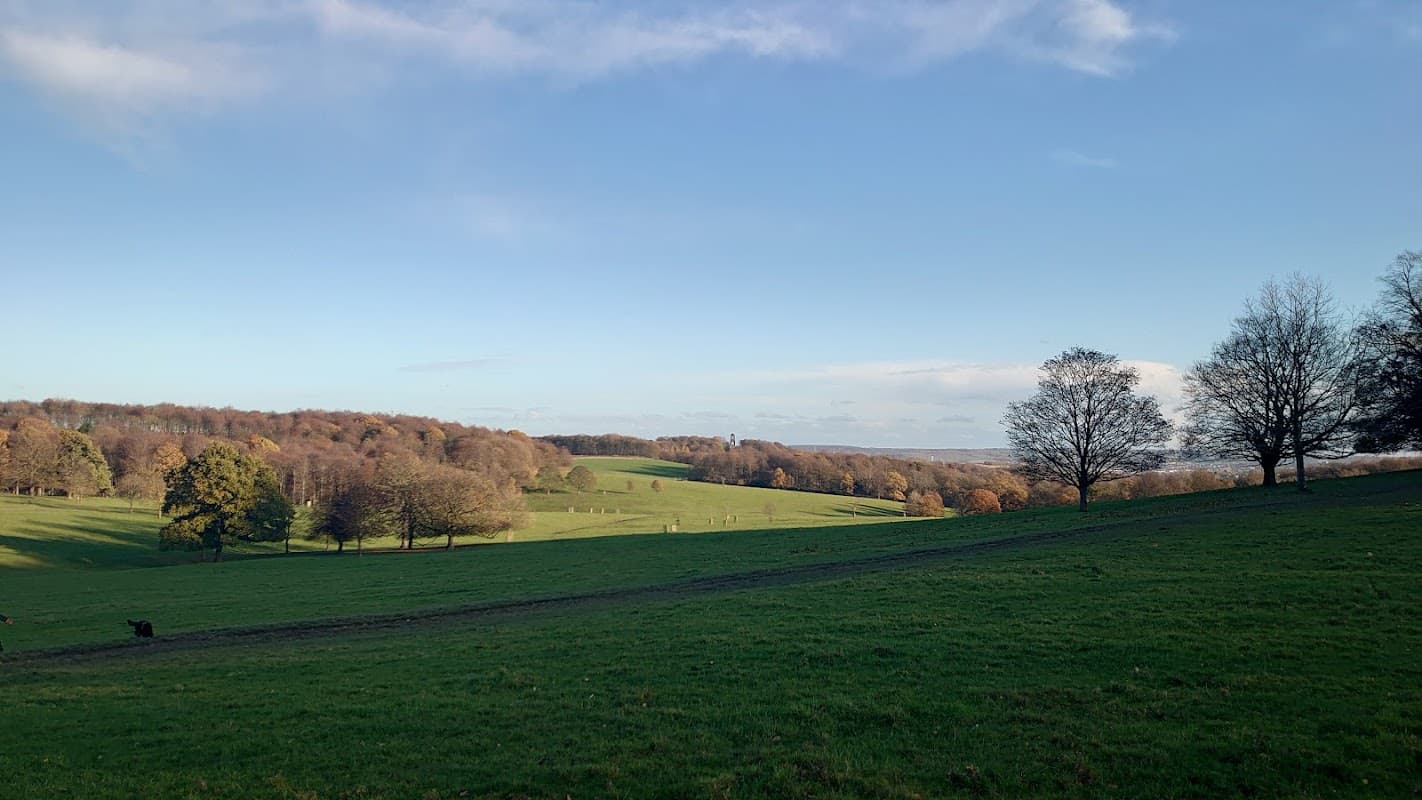 Lush green fields and trees under a clear blue sky at Wentworth Park, Yorkshire, with distant hills in the background.