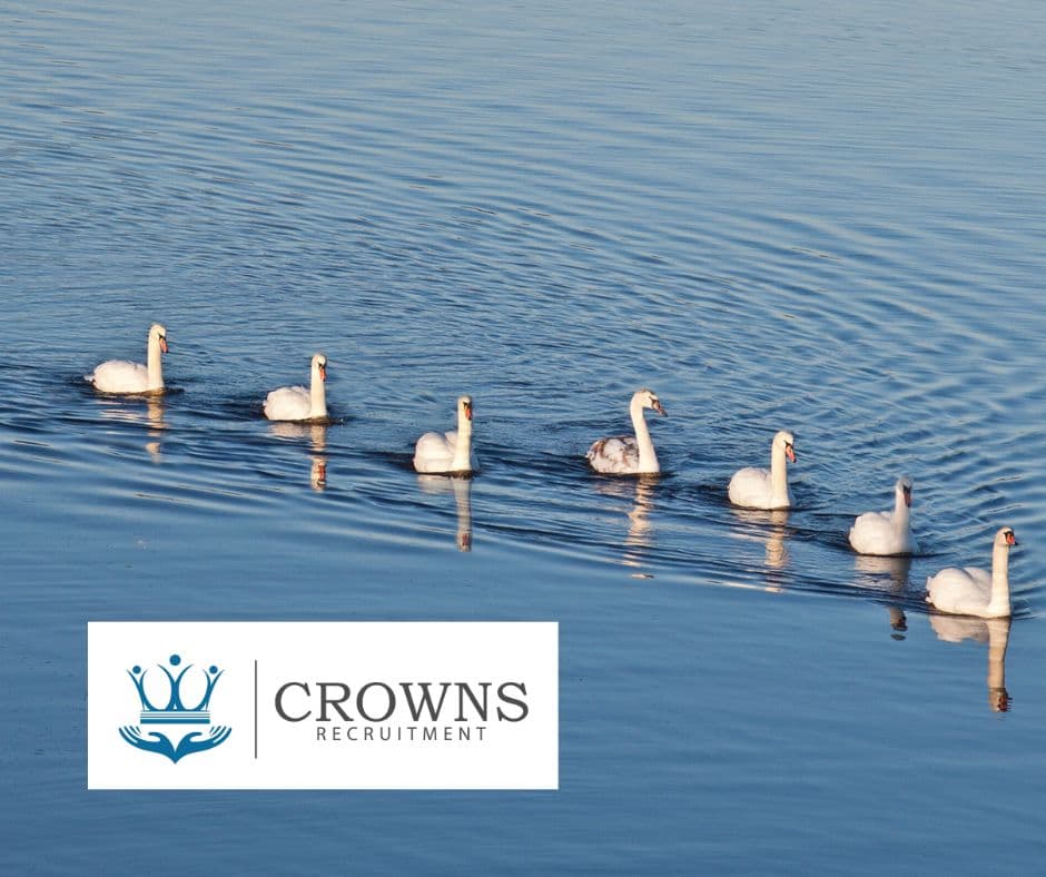 Crowns Recruitment ltd - Dentists in wetherby