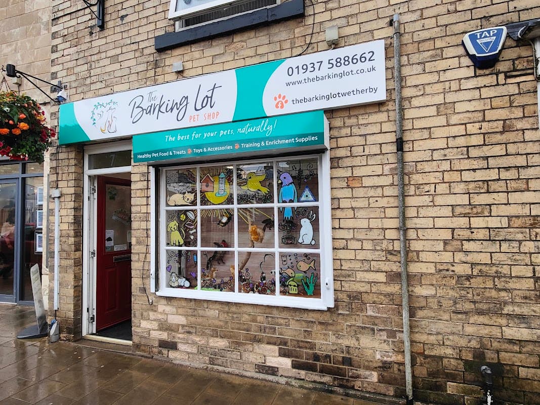 Colorful shopfront featuring "The Barking Lot" sign, pet-themed window display, and a welcoming entrance.