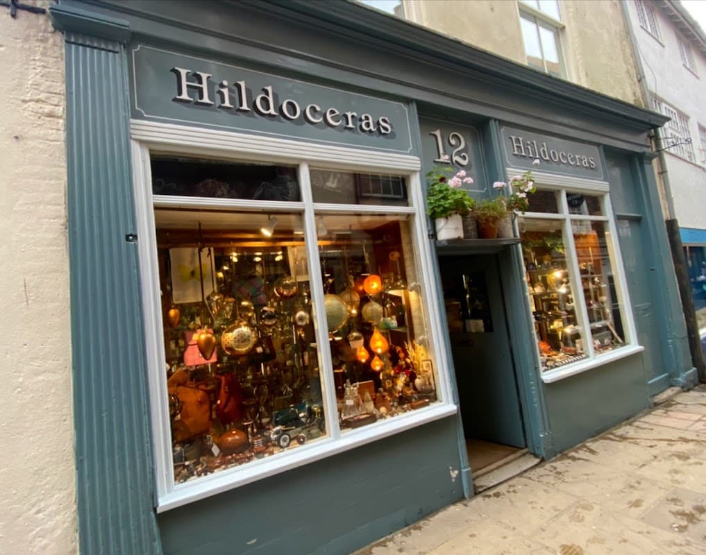 Hildoceras - Gift Shops in whitby
