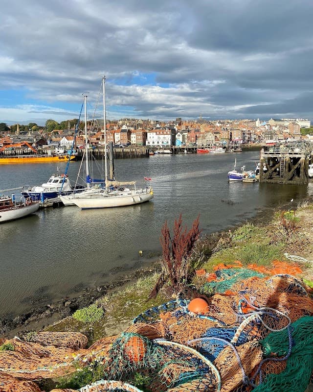 Norman Guest House - Guest House in whitby