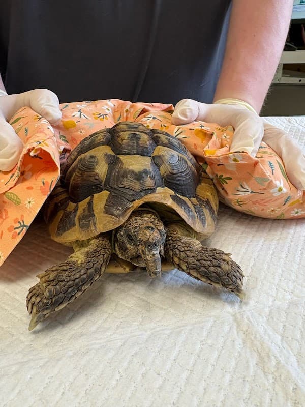 The Beck Veterinary Practice - Vets in whitby