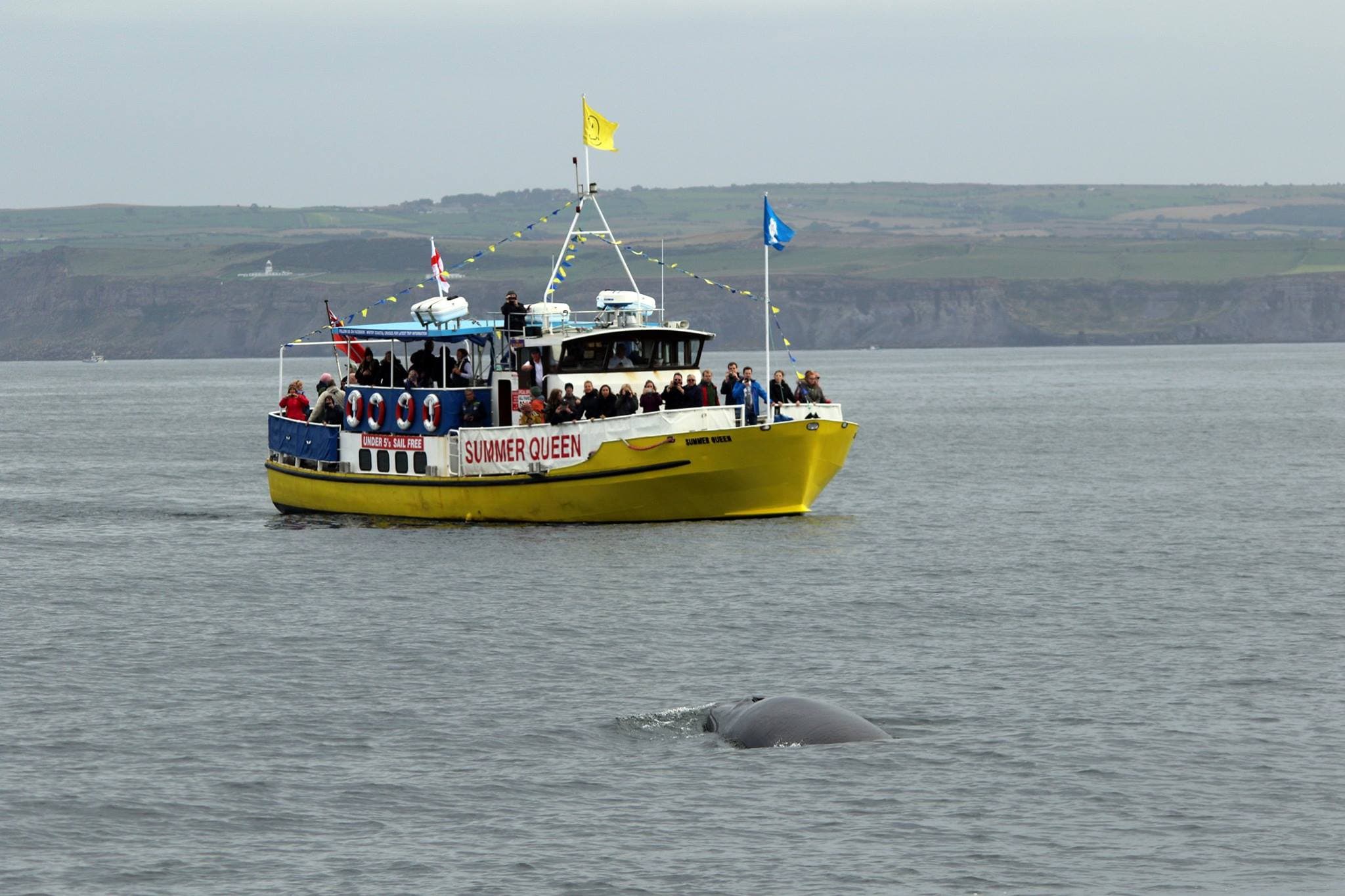 Whitby Coastal Cruises - Activity in whitby