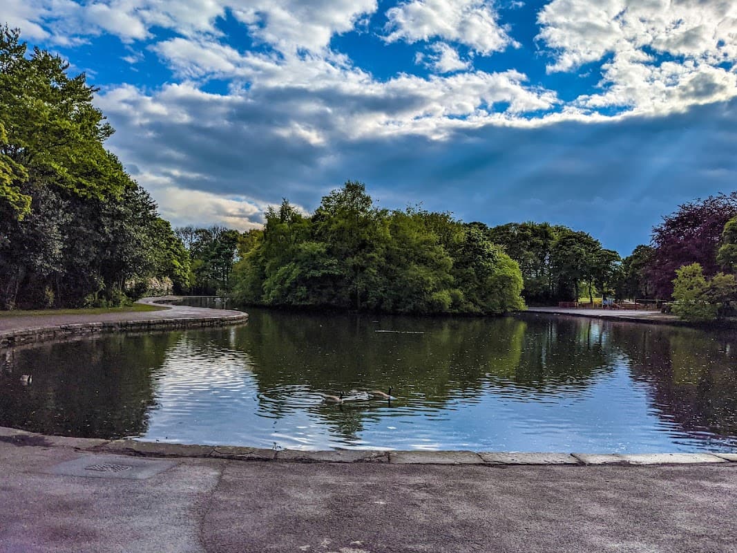 Tranquil park scene with a pond reflecting trees and clouds, a couple of ducks swimming on the water.