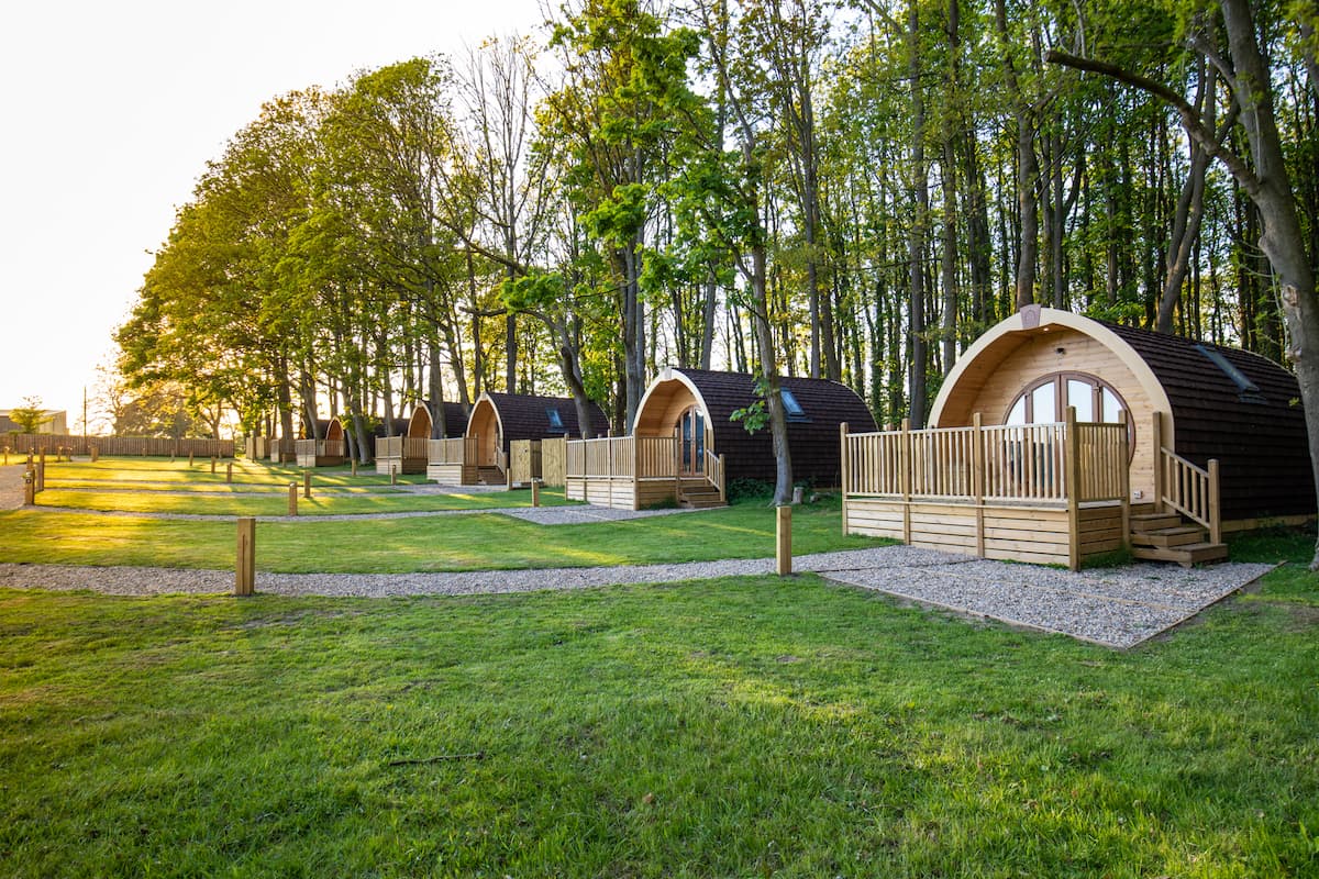 Glamping pods with wooden decks nestled among trees in a serene campsite at sunset in Wighill, Yorkshire.