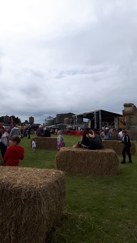 Crowd enjoying an outdoor event with hay bales and a stage in the background at Willerby Wold Piggeries Ltd.