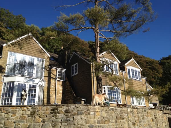 Willow Tree Cottage Bed and Breakfast