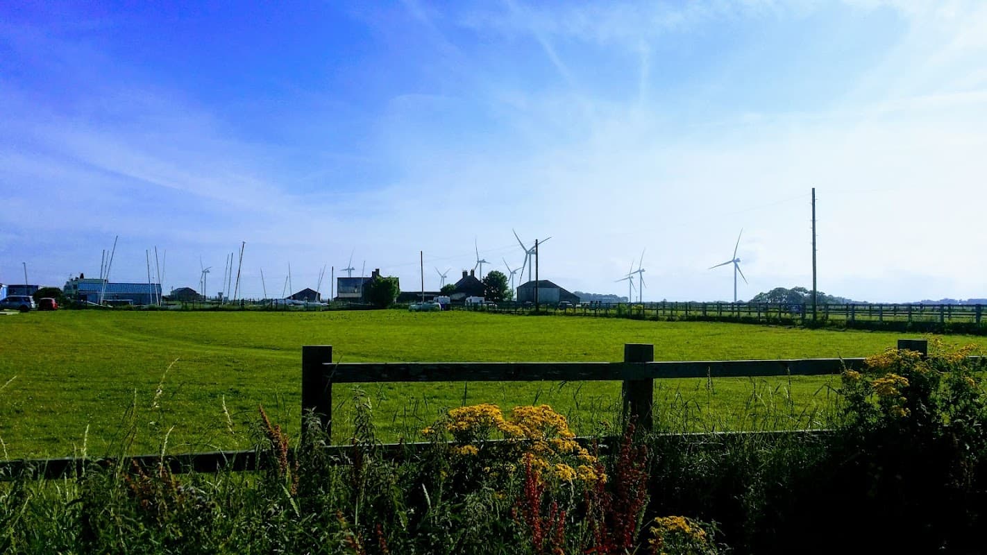 Green fields with wildflowers, wind turbines in the background, and a shop building near the coastline.