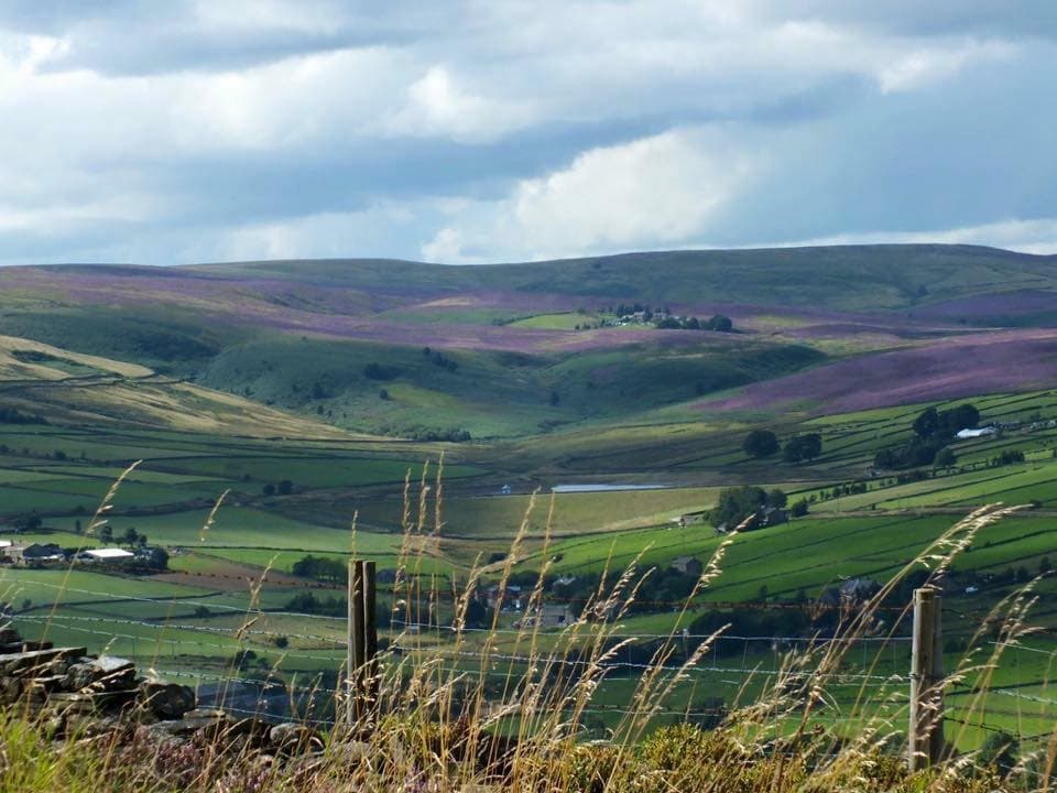 Windle House Farm - Attraction in bradford