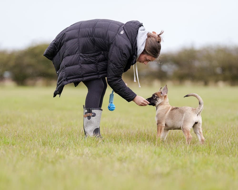 Hollym Secure Dog Walking Field - Park in withernsea