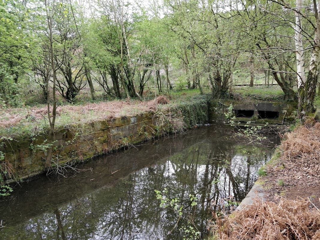 Hemingfield Basin (Hemingfield Colliery loading basin) - Historic Site in wombwell